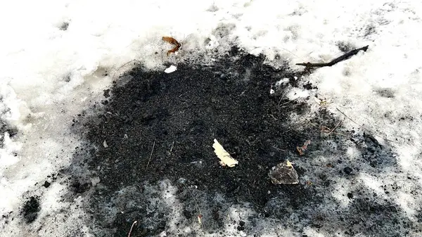 Beyaz kardaki siyah is, yangından sonra