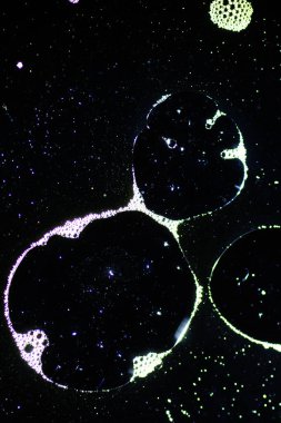 Sıvı ile soyut arkaplan ve bulanık bir arkaplan üzerine düşer, kapat.