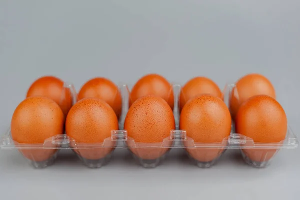 닭고기알 바탕에 달걀을 낳는다 — 스톡 사진