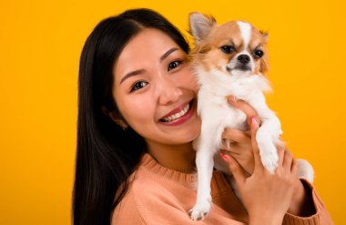 Şirin Asyalı kadın ve onun chihuahua chihuahua köpek aşığı Köpeğini seven bir kızın mutluluğu İnsanların ve şirin köpeklerin sevgisi turuncu stüdyoda fotoğraf çekimi