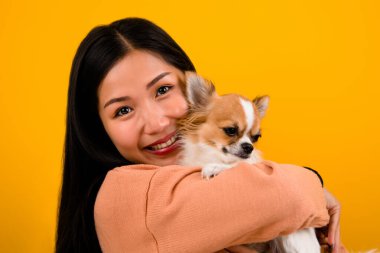 Şirin Asyalı kadın ve onun chihuahua chihuahua köpek aşığı Köpeğini seven bir kızın mutluluğu İnsanların ve şirin köpeklerin sevgisi turuncu stüdyoda fotoğraf çekimi