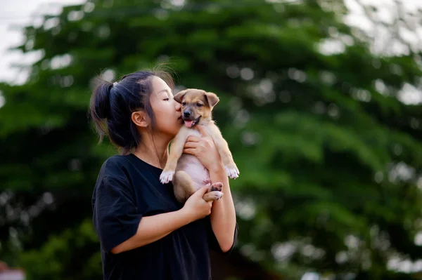 Hundeliebhaber Junge Frau Und Süßer Welpe Umarmen Und Liebe Süßem — Stockfoto