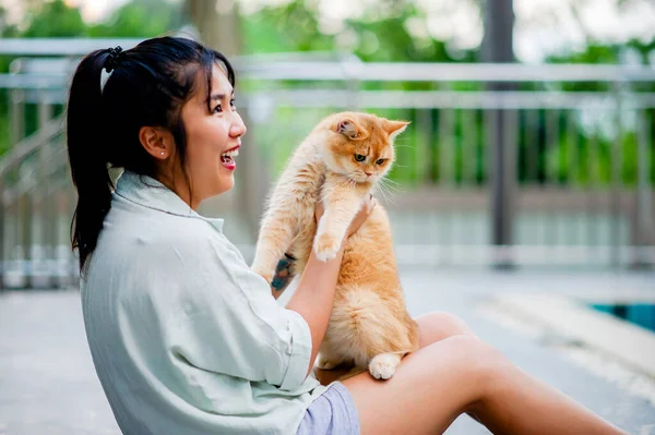 Woman holding cat playing at home with love for cats The smile glints in his bond with his fluffy pet cat. The relationship of people and cats, cat owners, domestic cats, fat cats