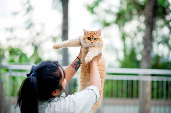 Mulher Segurando Gato Brincando Casa Com Amor Por Gatos Sorriso — Fotografia de Stock