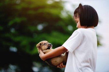 Küçük kız ve köpek arasında aşk. Erkekler ve köpekler arasında. Çocuklar ve zeki hayvanlar arka bahçede aşk konseptinde oynuyorlar.