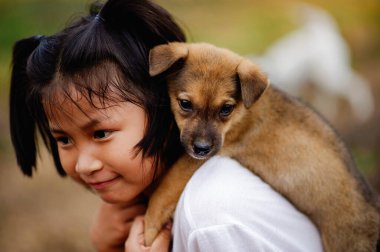 Küçük kız ve köpek arasında aşk. Erkekler ve köpekler arasında. Çocuklar ve zeki hayvanlar arka bahçede aşk konseptinde oynuyorlar.