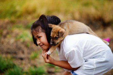 Küçük kız ve köpek arasında aşk. Erkekler ve köpekler arasında. Çocuklar ve zeki hayvanlar arka bahçede aşk konseptinde oynuyorlar.