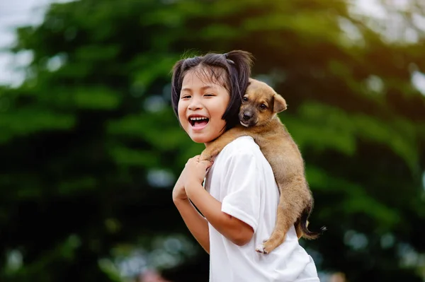 little girl and dog Love between man and dog Bonding of children and intelligent pets playing in the backyard love concept