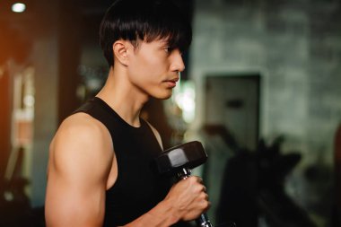 Dambıl egzersizleri güçlü üst kol kasları oluşturur. Sağlık severler için egzersiz faaliyetleri ve iyi ve güçlü bir figür oluşturur..