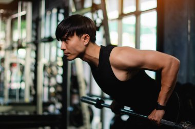 Dambıl egzersizleri güçlü üst kol kasları oluşturur. Sağlık severler için egzersiz faaliyetleri ve iyi ve güçlü bir figür oluşturur..