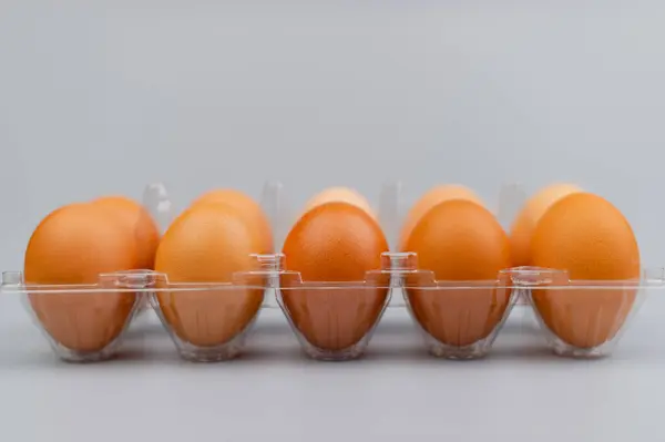 Orange chicken eggs, animal eggs, high protein food, breakfast, egg photography in studio
