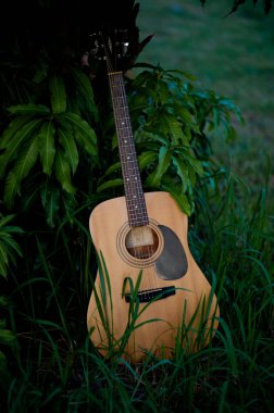 Akustik gitar, telli müzik aleti, çimenlere yerleştirilmiş, klasik gitar, müzik çalmak ve rahatlatıcı..