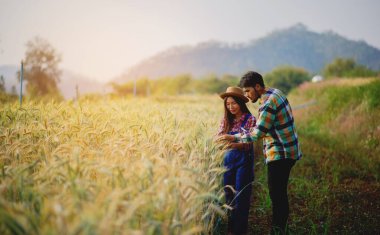 Kişisel çalışma özgürlüğü, işle mutlu olmak ve serbest çalışmanın hedefleri. Zafer ve hedeflere ulaşma