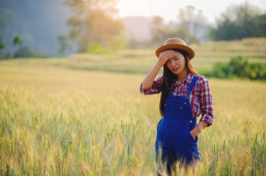 Kişisel çalışma özgürlüğü, işle mutlu olmak ve serbest çalışmanın hedefleri. Zafer ve hedeflere ulaşma