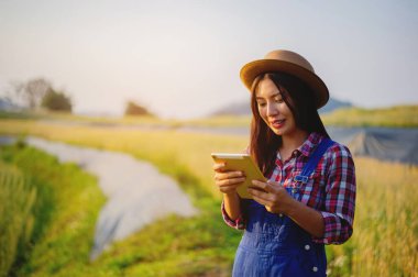 Kişisel çalışma özgürlüğü, işle mutlu olmak ve serbest çalışmanın hedefleri. Zafer ve hedeflere ulaşma