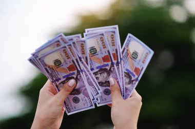 Dolar para birimi ve yatırım planlaması, gelir, maaş, para akışı ve mali başarı.