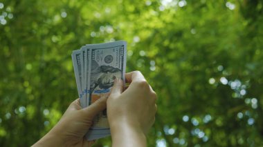 Dolar Sayımı Para Birimi Finansal Planlama ve Yatırım Geliri Para Kazanma Akışı