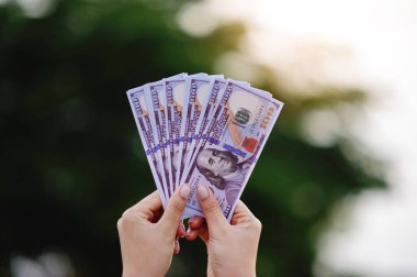 Dolar Para Birimi Finansal Kazanç Çalışması Maaş Akışı ve Zenginlik