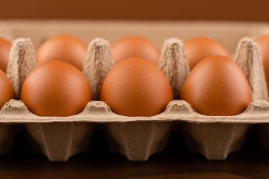 Yumurta tepsisine yerleştirilmiş taze, temiz tavuk yumurtaları. Yüksek protein içerikli sağlıklı yiyecekler.