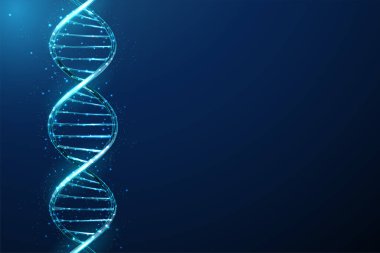 Soyut mavi 3d DNA molekül sarmalı. Gen düzenleme, genetik biyoteknoloji ve mühendislik konsepti. Düşük polimerli tasarım. Geometrik arkaplan. Kablo çerçeve aydınlatma grafik bağlantı yapısı. Vektör