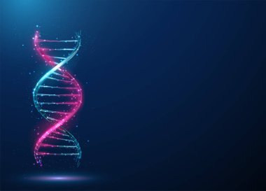 Soyut mavi ve mor 3D DNA molekül sarmalı. Genetik biyoteknoloji mühendisliği konsepti. Düşük polimerli tasarım. Geometrik arkaplan Wireframe ışık grafiksel bağlantı yapı taşıyıcısı