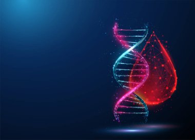Soyut mavi ve mor üç boyutlu DNA molekülü sarmal ve kan damlası. Genetik tanı konsepti. Düşük polimerli tasarım. Geometrik arkaplan. Kablo çerçeve aydınlatma grafik bağlantı yapısı. Vektör