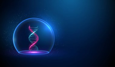 Soyut mavi ve mor DNA 'lı cam kubbe. Koruma ve bakım konsepti. Düşük polimerli tasarım. Mavi geometrik arka plan. Kablo çerçeve ışık bağlantı yapısı. 3 boyutlu grafik konsept. Vektör
