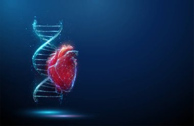 Blue DNA molecule helix with red human heart. Hereditary heart deseases, diagnosis of genetic deseases concept. Gene editing, biotechnology engineering. Low poly style Wireframe light structure Vector clipart
