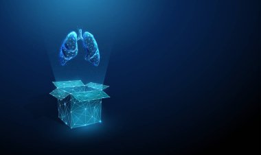 Soyut mavi kutu ve insan ciğerleri. Organ nakli konsepti. Düşük poliürel gelecekçi dijital teknoloji neon tarzı. Geometrik arkaplan. Kablo çerçeve ışık bağlantı yapısı. 3D grafik. Vektör