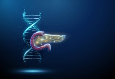 Kırmızı ve sarı pankreaslı mavi 3D DNA molekülü sarmal. Pankreasın genetik hastalıkları, DNA hasarı, genetik araştırma konsepti. Düşük poliüristik stil. Soyut kablo ışık yapısı. Vektör