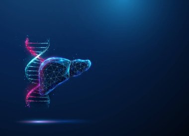 Soyut mavi ve mor DNA molekülü sarmal ve insan karaciğeri. Genetik biyoteknoloji mühendisliği konsepti. Düşük poliuristik teknoloji dijital stil Geometrik arkaplan. Kablo iskeleti. Vektör.