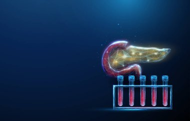 Kan örneği rafı olan soyut insan pankreası. Kan analizi ve pankreas sağlığı, tıbbi teşhis konsepti. Düşük polimerli. Geometrik arkaplan. Kablo çerçeve grafik bağlantı yapısı. Vektör.