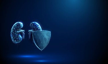 Gelecekteki koruma kalkanının arkasındaki soyut mavi insan böbrekleri. Böbrek koruması. Sağlık hizmeti tıbbi konsepti. Düşük polimerli. Geometrik arkaplan. Kablo çerçeve bağlantı yapısı. Vektör.