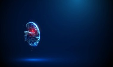 Kırmızı benekli soyut mavi böbrek. Böbrek hastalıkları, tıbbi tedavi ve eczane konsepti düşük polimerometrik arka plan. Kablo çerçeve ışık bağlantı yapısı. Modern 3d grafik konsept Vektörü