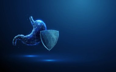 Fütürist koruma kalkanının arkasındaki soyut mavi insan midesi. Mide koruması. Sağlık hizmeti tıbbi konsepti. Sindirim sağlığı ve mukozal savunma. Düşük polimetrik geometrik kablo biçimi. Vektör.