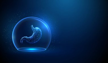 Şeffaf cam bir kubbenin içindeki soyut mavi insan midesi. Neon küre kalkanı. Sağlık sigortası, gastroenteroloji, mide hastalığı önleme konsepti. Kablo çerçevesi düşük polimerli. Vektör