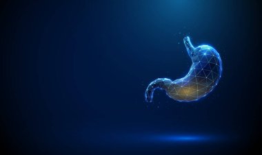 İçinde bariz mide sıvısı olan mavi insan midesi. Sindirim sıvısı salgısı, mide asidi konsepti. Sindirim sürecinin tıbbi ve biyolojik örnekleri. Kablo çerçevesi düşük polimerli. Vektör.