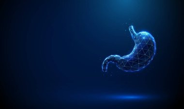 Soyut mavi insan mide yapısı. Mide anatomisi, kardiyak, mantar, vücut, antrum, pilor. Sağlık hizmeti tıbbi anatomik konsepti. Düşük polimerli. Geometrik arkaplan. Kablo çerçevesi grafiği. Vektör.