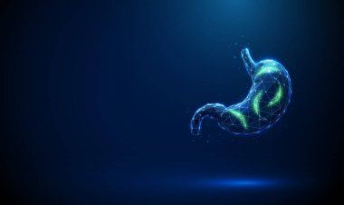 İçinde yeşil yapraklar olan mavi insan midesi. Doğal tedavi, sindirim sağlığı için sağlıklı beslenme konsepti. Bitkisel ilaçlar, mide koruması, organik beslenme. Kablo çerçevesi düşük polimerli. Vektör.