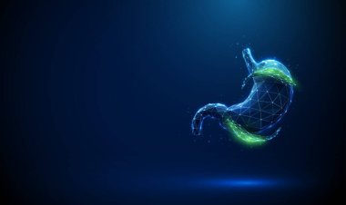 Dışarıda yeşil yapraklar olan soyut mavi insan midesi. Doğal iyileşme ve sindirim sağlığı konsepti. Bitkisel ilaçlar, mide koruması ve organik beslenme. Kablo çerçevesi düşük polimerli. Vektör.