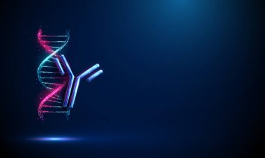 Soyut DNA çift sarmal ve antikor. Gen terapisi, bağışıklık sistemi, monoklonal antikor tedavisi, kişiselleştirilmiş tıp, biyoteknoloji yenilik kavramı. Düşük polimerli dijital stil, kablo çerçevesi. Vektör