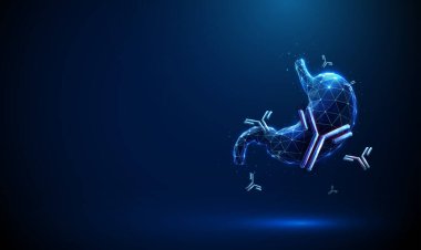 Yüzen antikorlara sahip insan midesi Otoimmün mide iltihabı, Helicobacter pillori enfeksiyonu, aşı önleme, antikor terapisi, bağışıklık modülasyonu, biyoteknoloji, kişiselleştirilmiş tıp kavramı taşıyıcı..