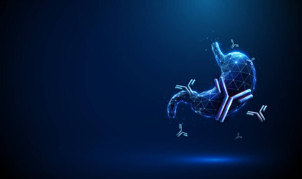 Human stomach with floating antibodies Autoimmune gastritis, Helicobacter pylori infection, vaccine prevention, antibody therapy, immunomodulation, biotechnology, personalized medicine concept Vector.