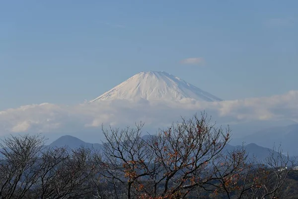 秋末富士山的风景 新年贺卡的背景资料 — 图库照片