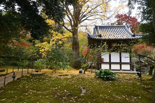 Japon Attraction Touristique Voyage Jardin Sankeien Yokohama City Préfecture Kanagawa — Photo