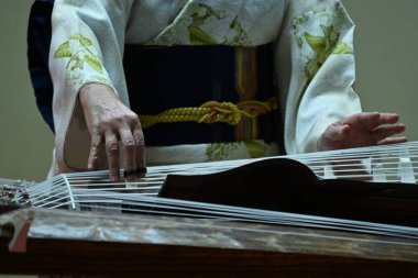 Koto konseri. 'Koto', aynı zamanda 'Japon arpı' olarak da bilinir, 13 tele sahip uzun bir Japon telli enstrümanına benzer..