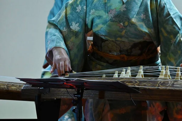 stock image Koto concert. The 'Koto' , also known as 'Japanese harp', is a traditional japanese stringed instrument similar to a long zither having 13 strings.