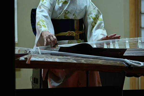 琴演奏会 ことう 13本の弦を持つ長いツイッターに似た日本の伝統楽器 — ストック写真