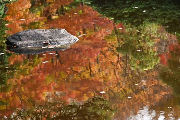 Пейзаж Осенних Листьев Японии Сезонный Материал — стоковое фото