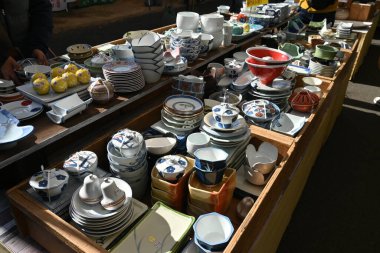  Kışın kel selvi (Taxodium distichum) ağacı. Yapraklar ve fındık. Kuzey Amerika 'ya özgü Cupressaceae yapraklı kozalaklı kozalaklı.